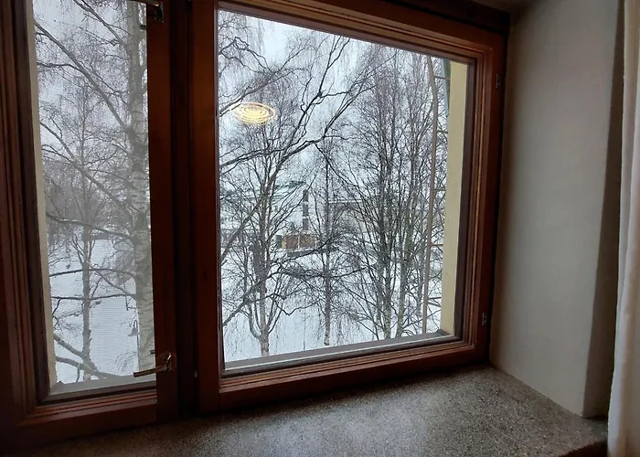 Traveller's Nest 公寓 罗瓦涅米